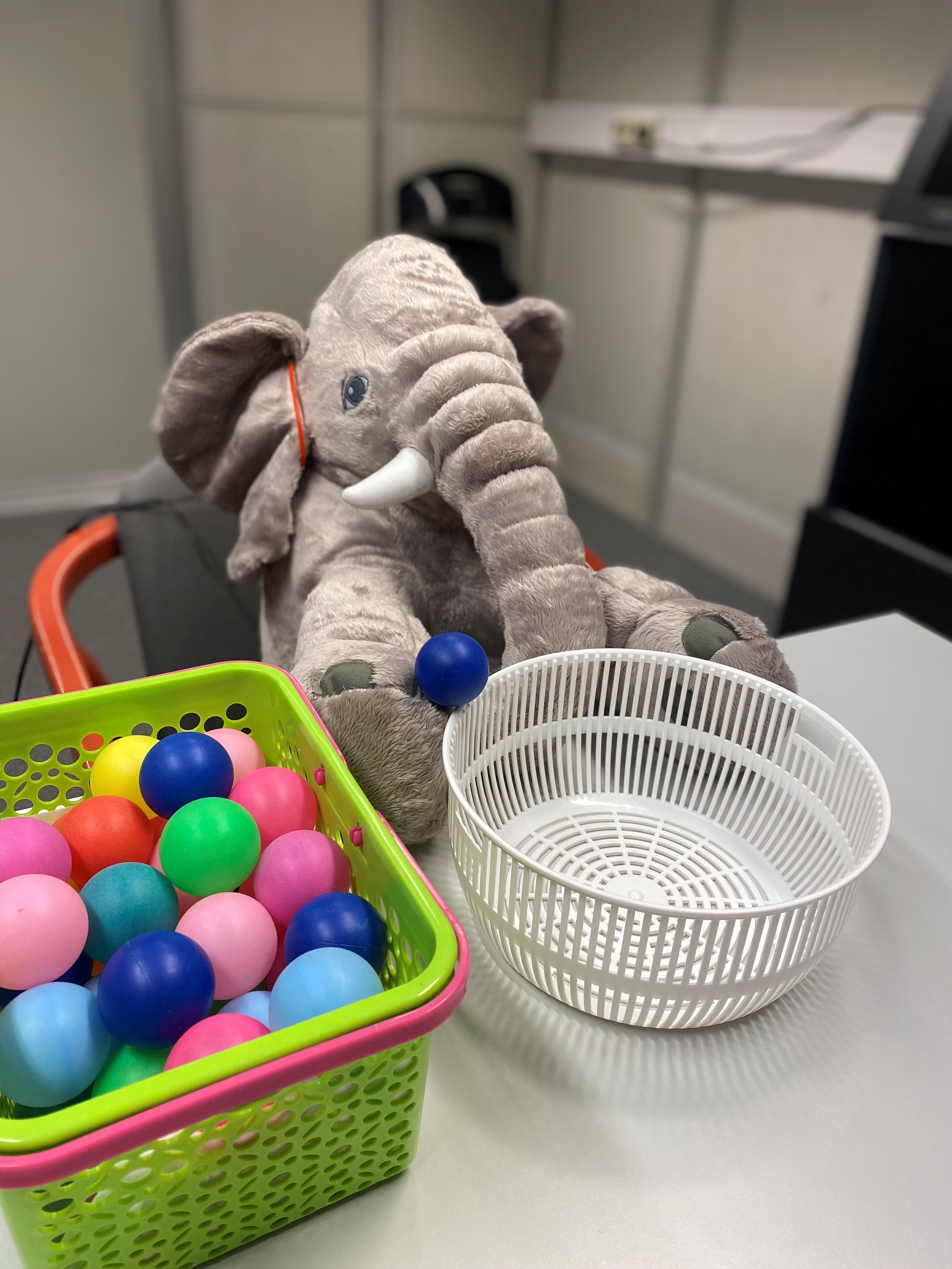 Et kosedyr i en kurv