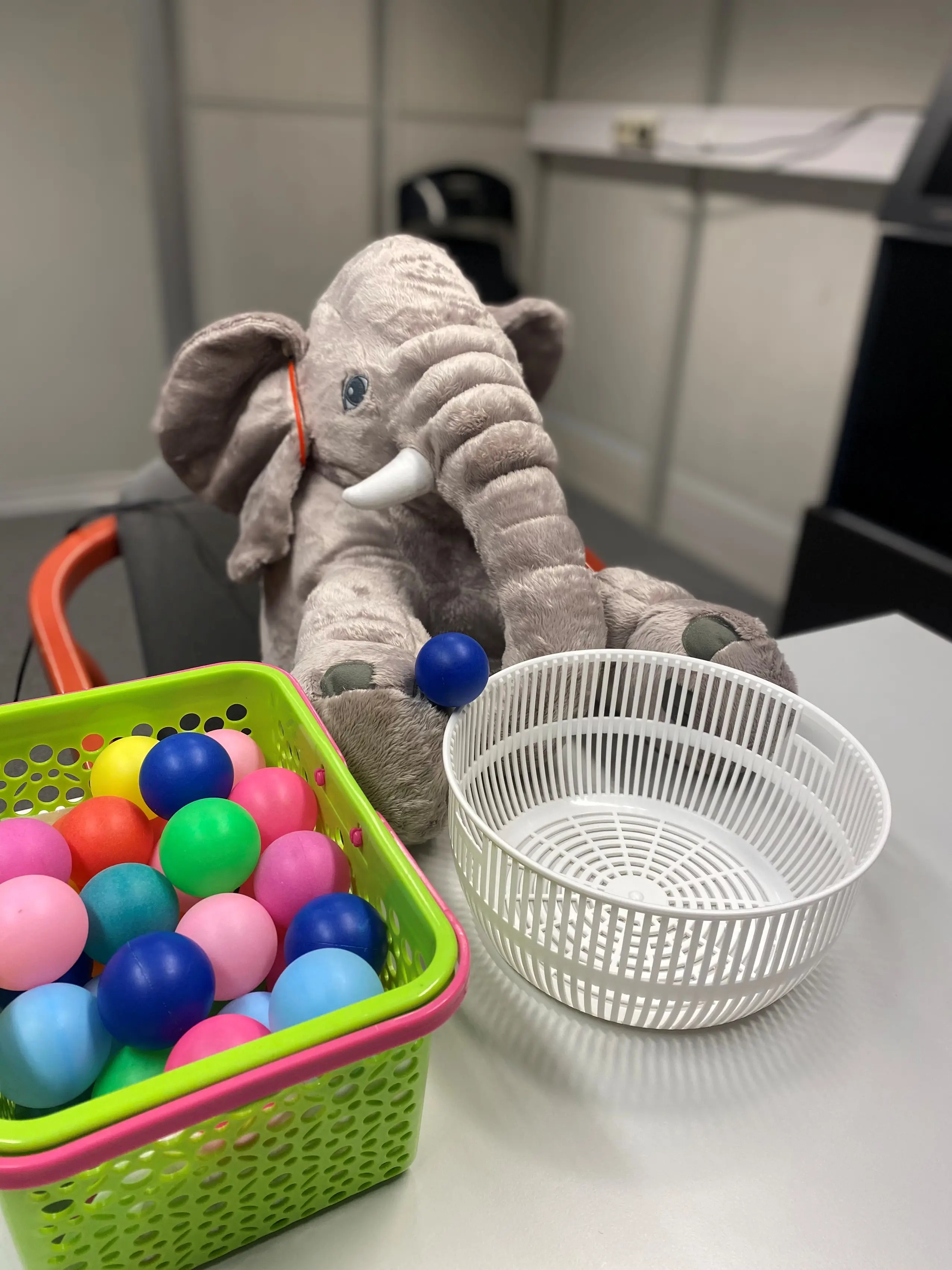 Et kosedyr i en kurv