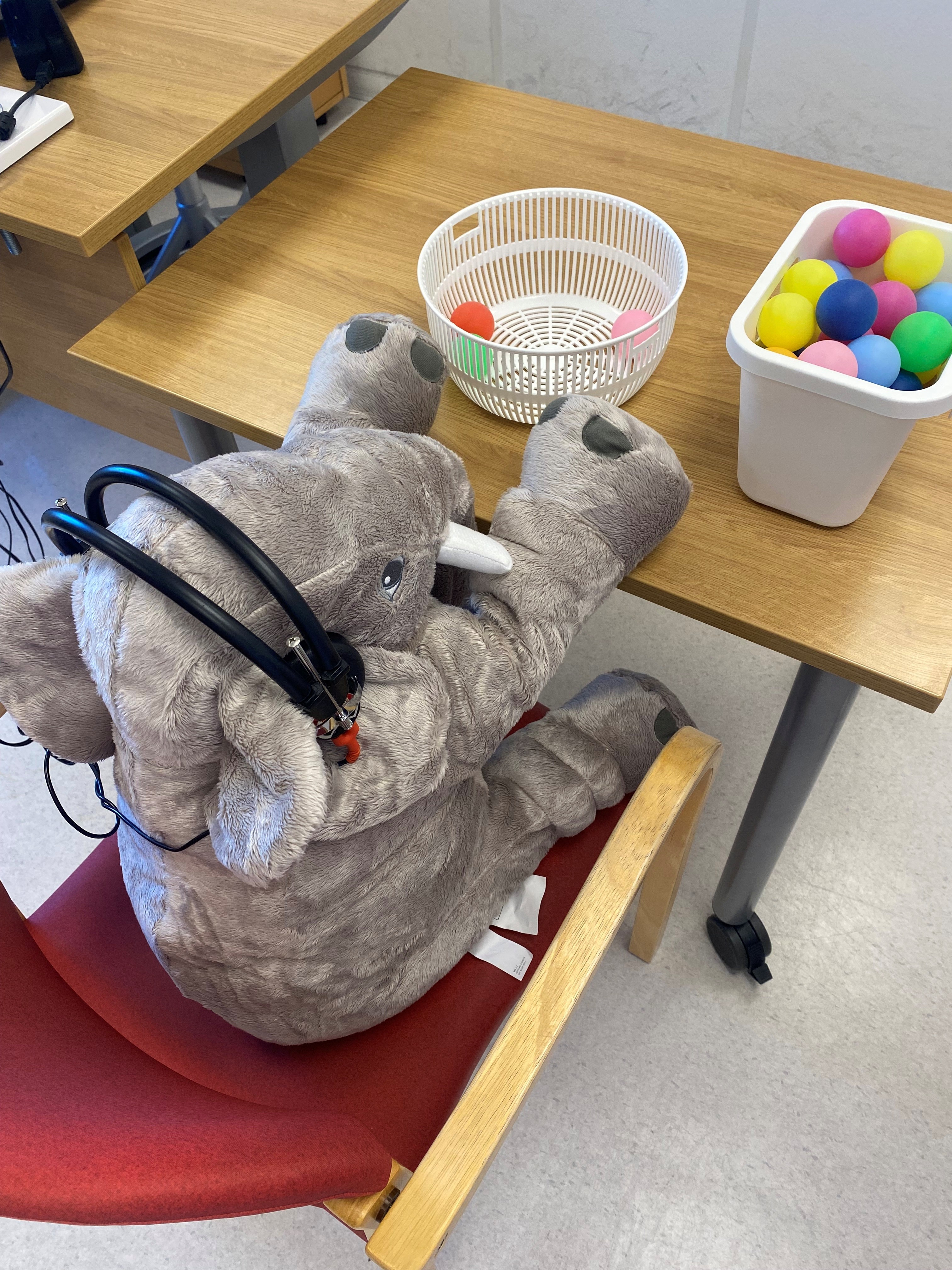 Et kosedyr på en stol