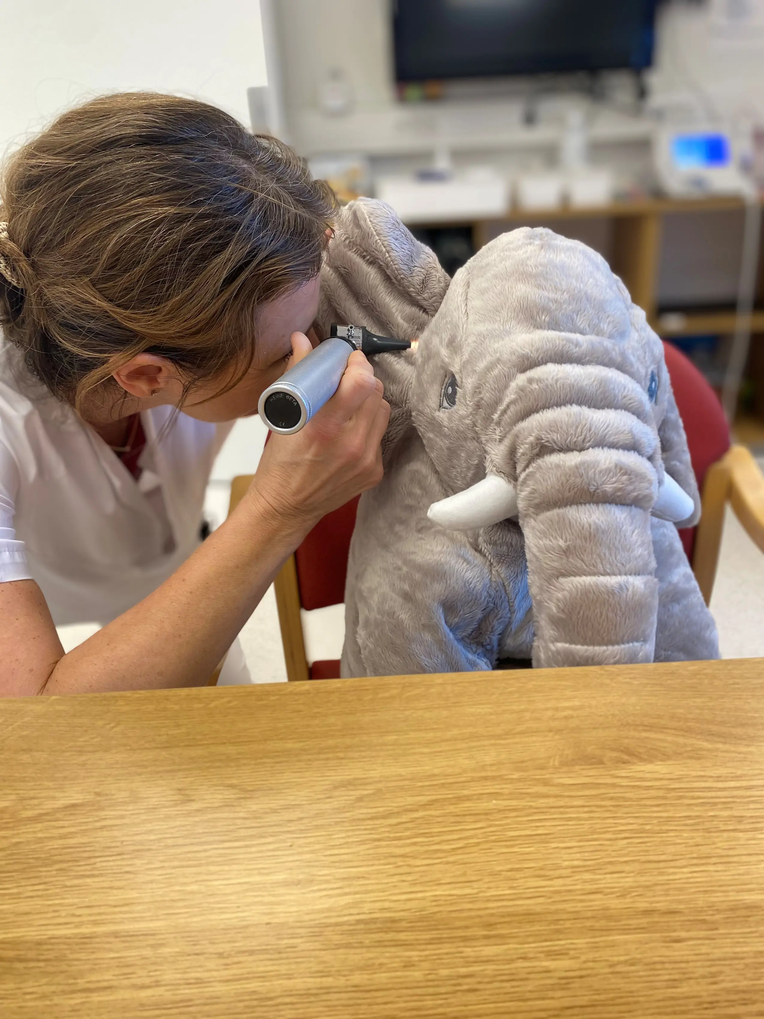 En person ser inn i øret på et kosedyr