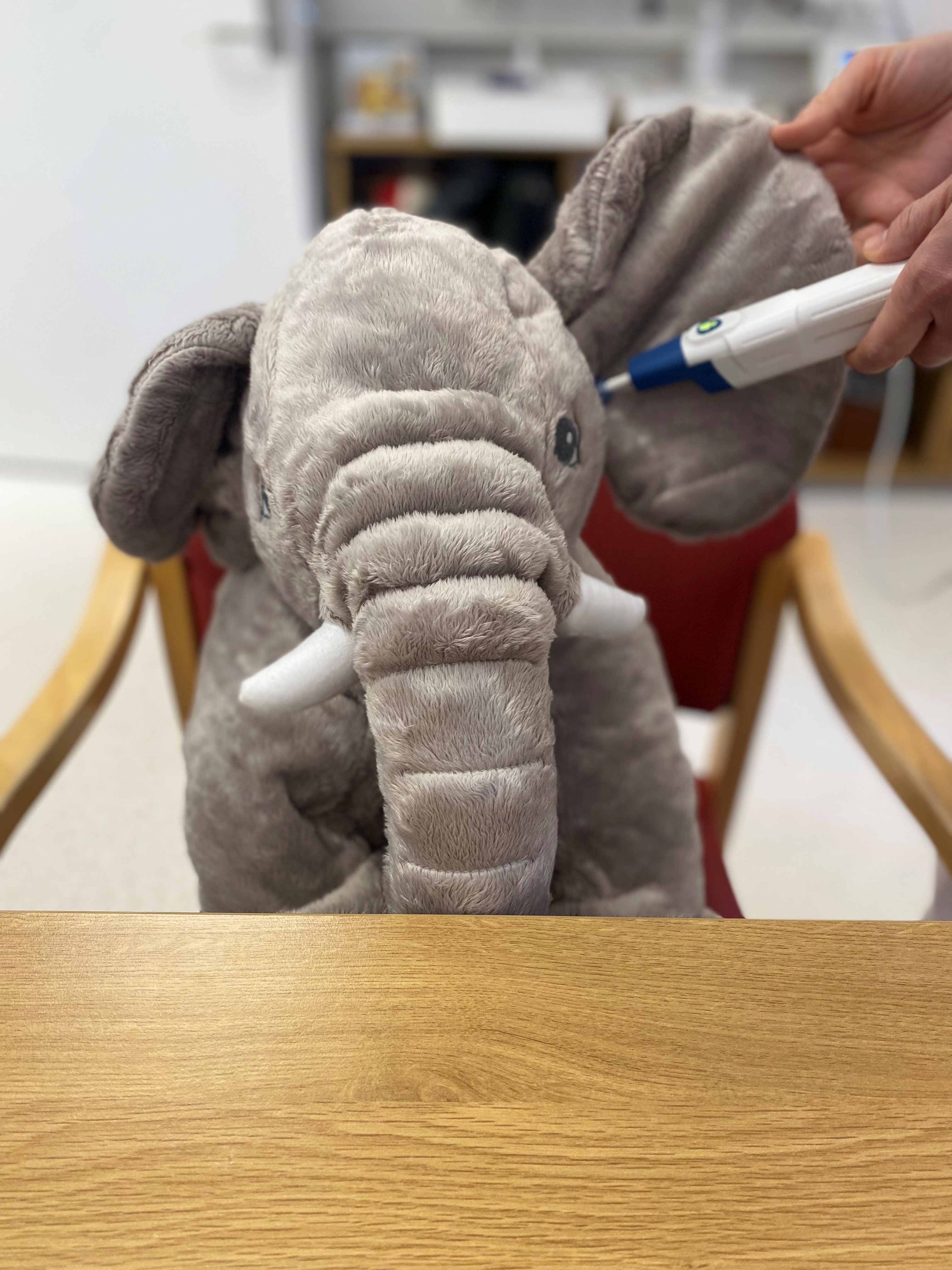 En person undersøker øret til et kosedyr