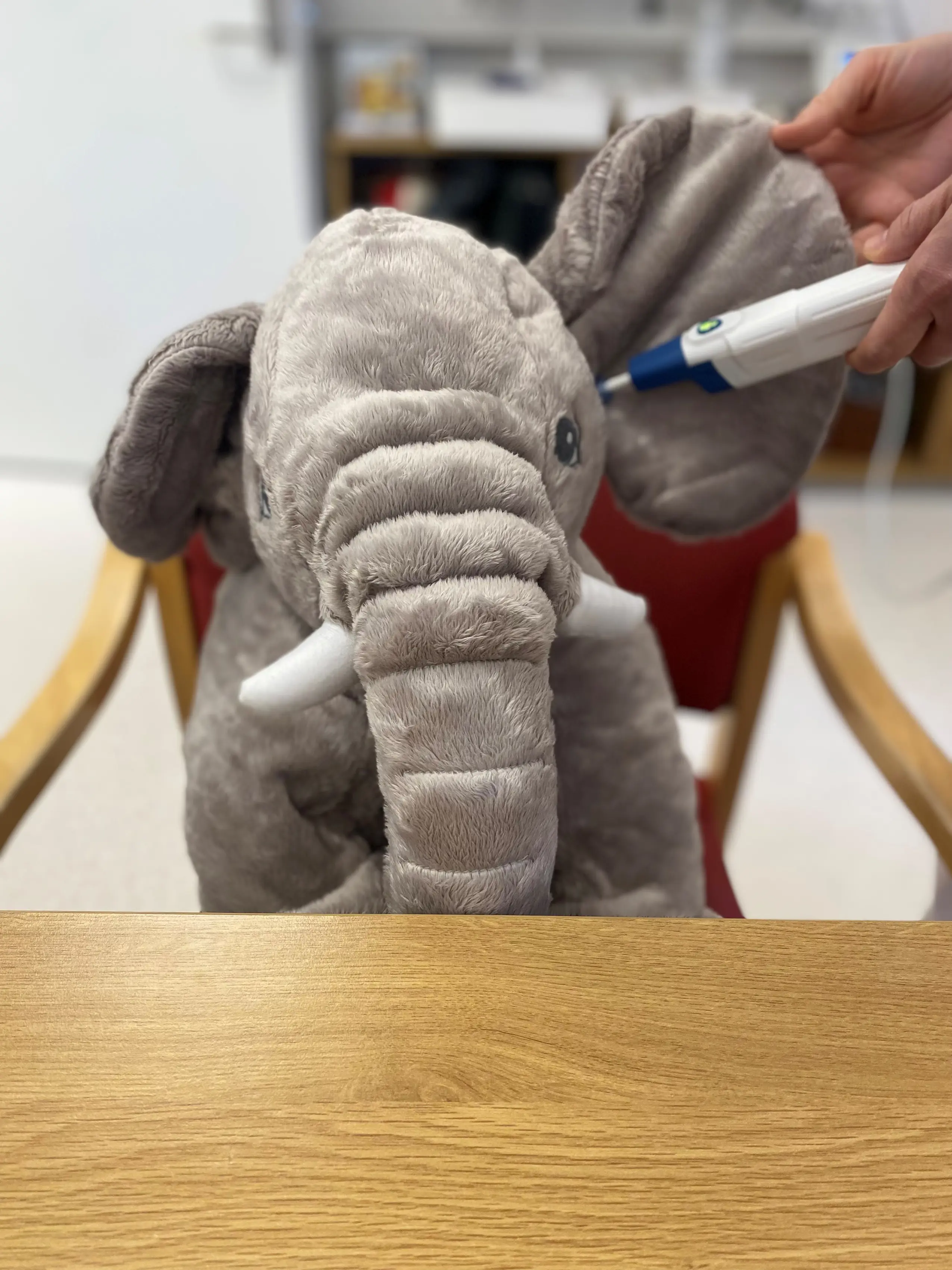 En person undersøker øret til et kosedyr