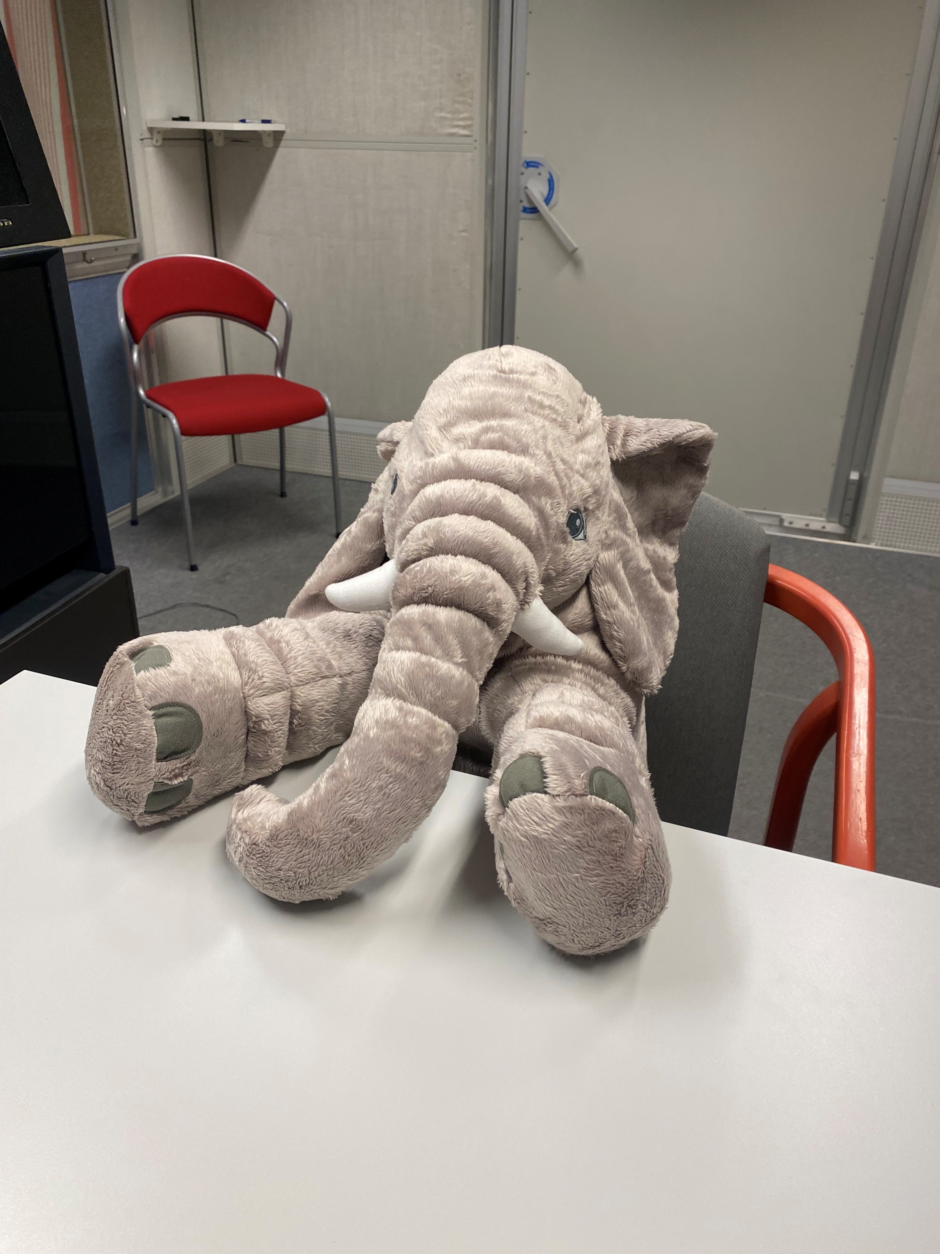 Et kosedyr sittende ved et bord