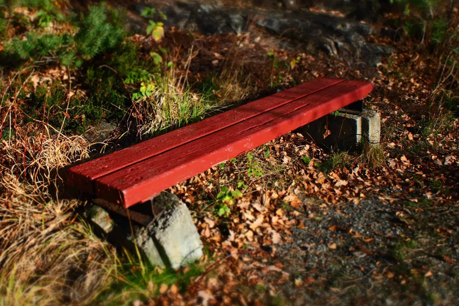 En rød benk i skogen