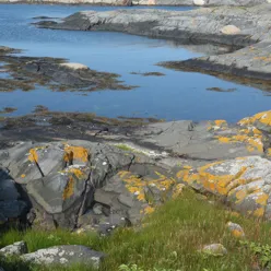 A rocky beach with water