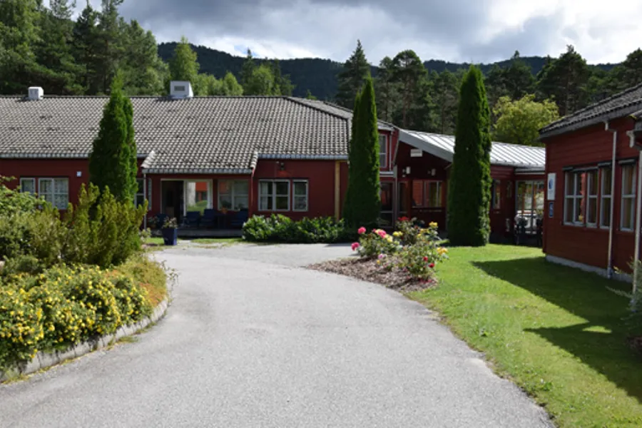 En vei som fører til en husrekkei grønne omgivelser i Setesdal.